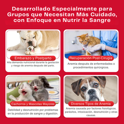 Cuidado Hepático
