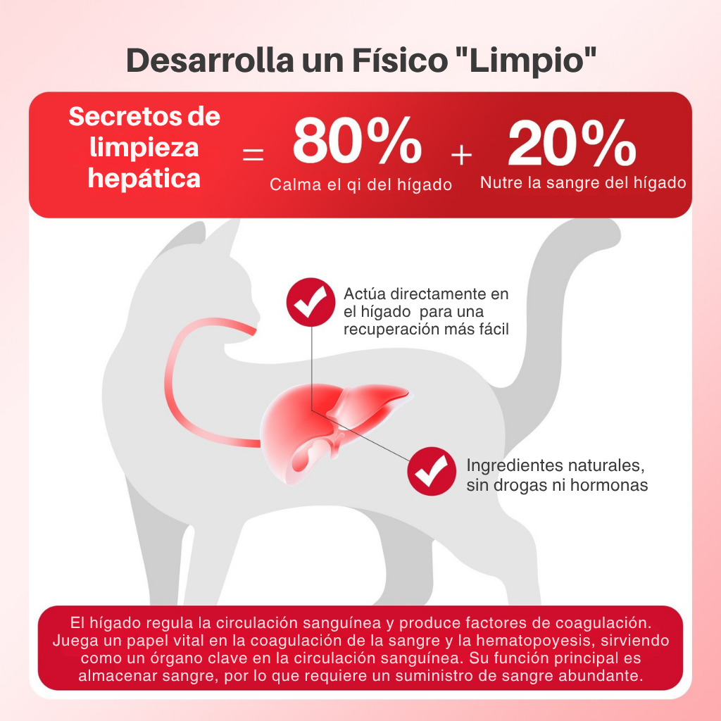 Cuidado Hepático