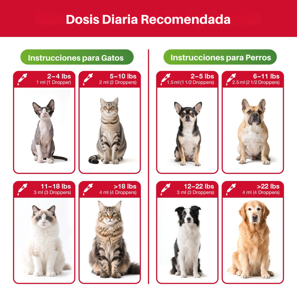 Cuidado Hepático