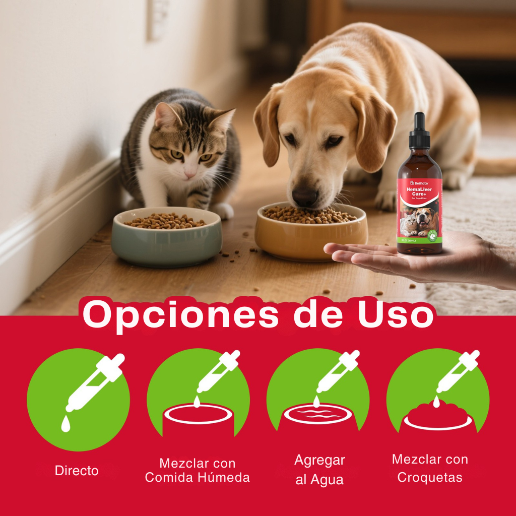 Cuidado Hepático