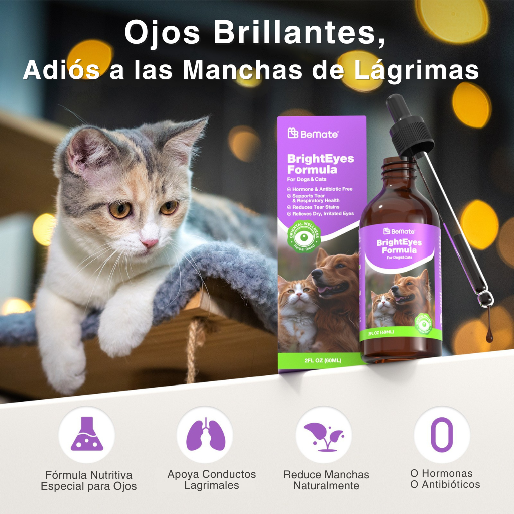 Salud Ocular